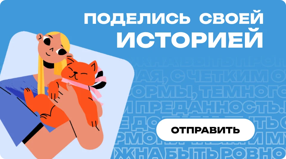 Перейти к истории