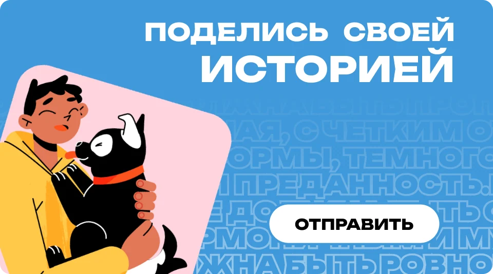 Перейти к истории