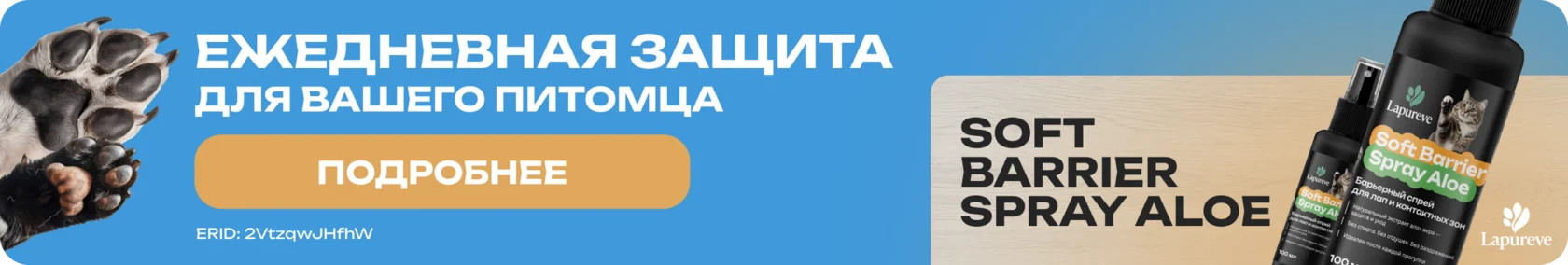 Влияние текстуры и консистенции корма на аппетит питомца: как сухой, влажный и натуральный корм по разному воздействуют на пищеварение