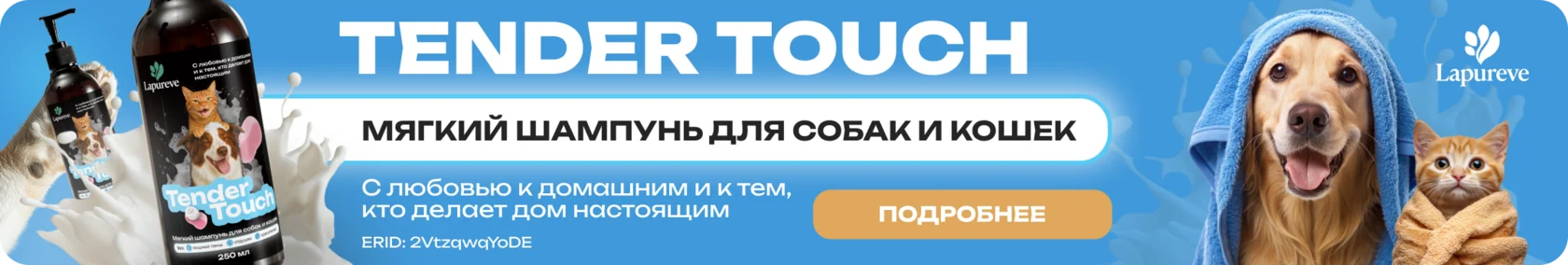 Влияние текстуры и консистенции корма на аппетит питомца: как сухой, влажный и натуральный корм по разному воздействуют на пищеварение